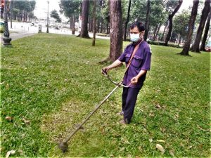 Dịch vụ cắt cỏ ở Cần Đước Long An