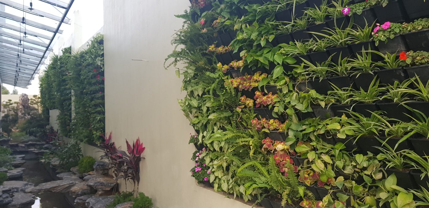 Nguyên tắc thiết kế thi công cây xanh