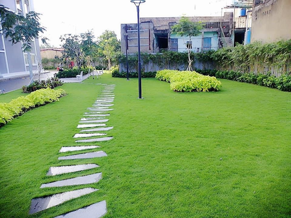 Dịch vụ trồng cỏ ở Châu Thành Long An