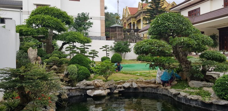Thiết kế thi công cây xanh tại Châu Thành Long An của Lộc Nguyên có ưu điểm gì nổi bật?