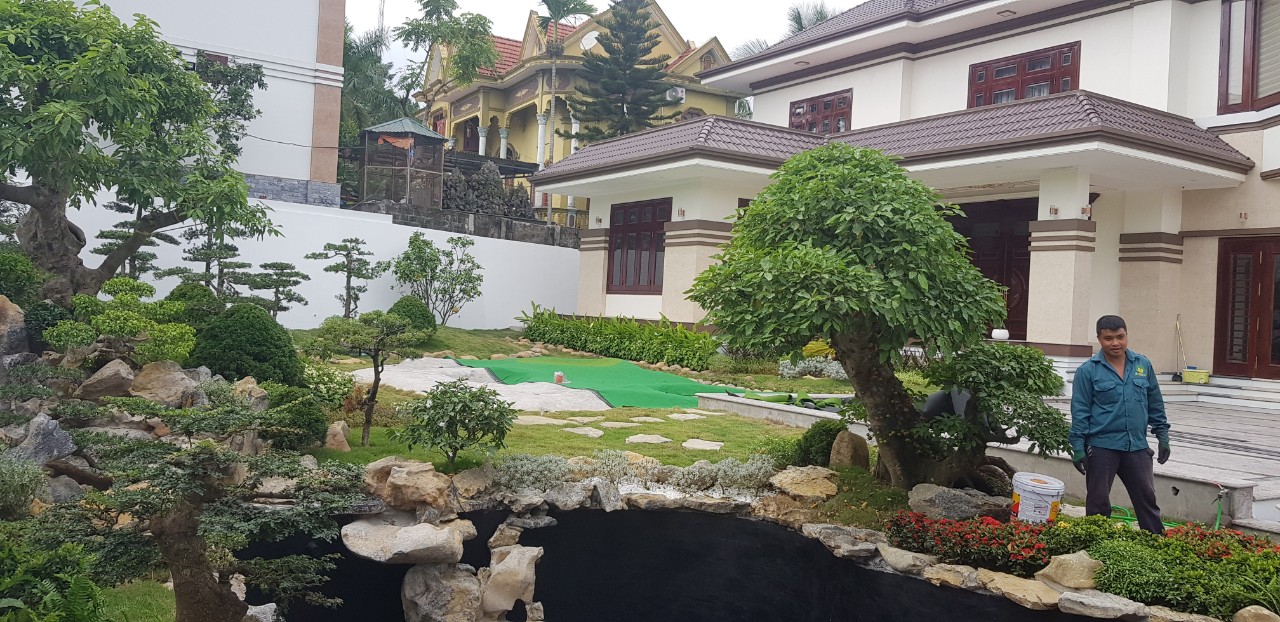 Lý do nên thiết kế thi công cây xanh