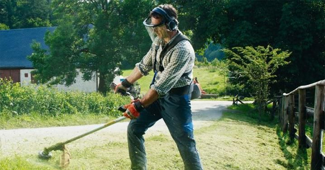 Quy trình thực hiện phát cỏ hoang