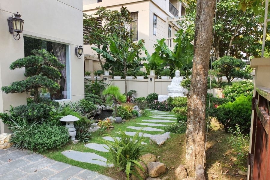 Tại sao nên chọn dịch vụ trồng cây xanh của Lộc Nguyên