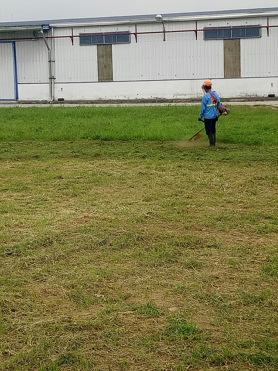 Dịch vụ cắt cỏ ở Đức Huệ Long An nhanh chóng, uy tín