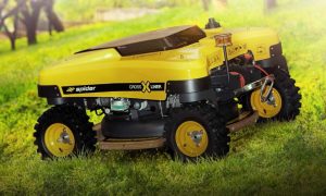 Dịch vụ cắt cỏ ở Đức Hoà Long An chuyên nghiệp