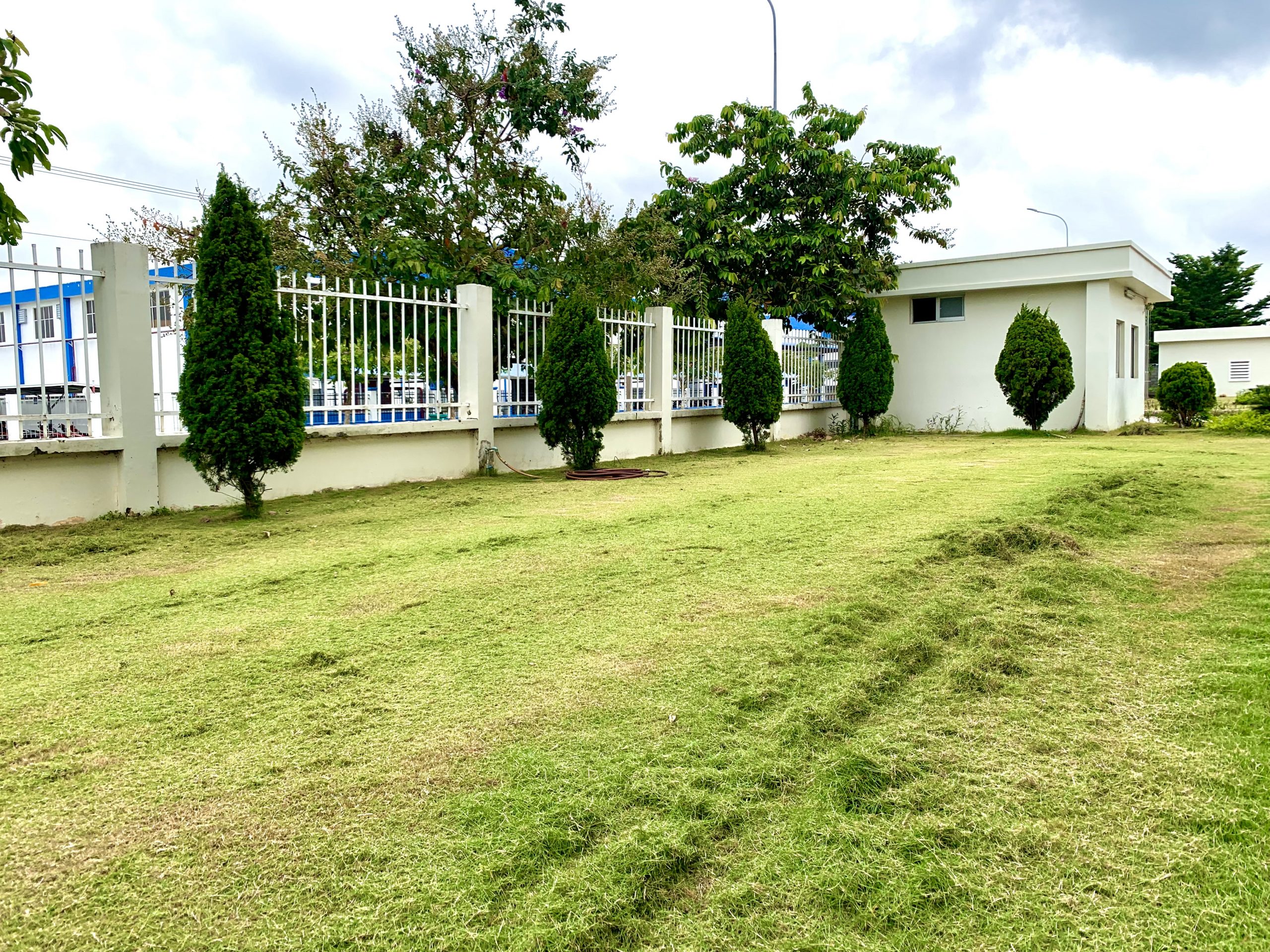 Dịch vụ cắt cỏ ở Đức Huệ Long An chuyên nghiệp