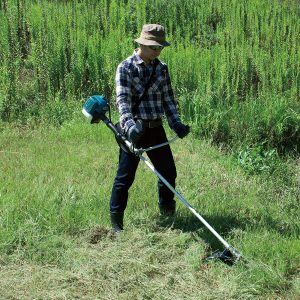 Dịch vụ phát hoang cỏ dại ở Đức Huệ Long An uy tín