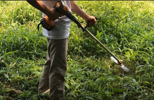 Ưu điểm khi thuê dịch vụ phát hoang cỏ dại ở Đức Hoà Long An