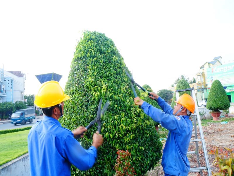 Đội ngũ nhân viên giàu kinh nghiệm