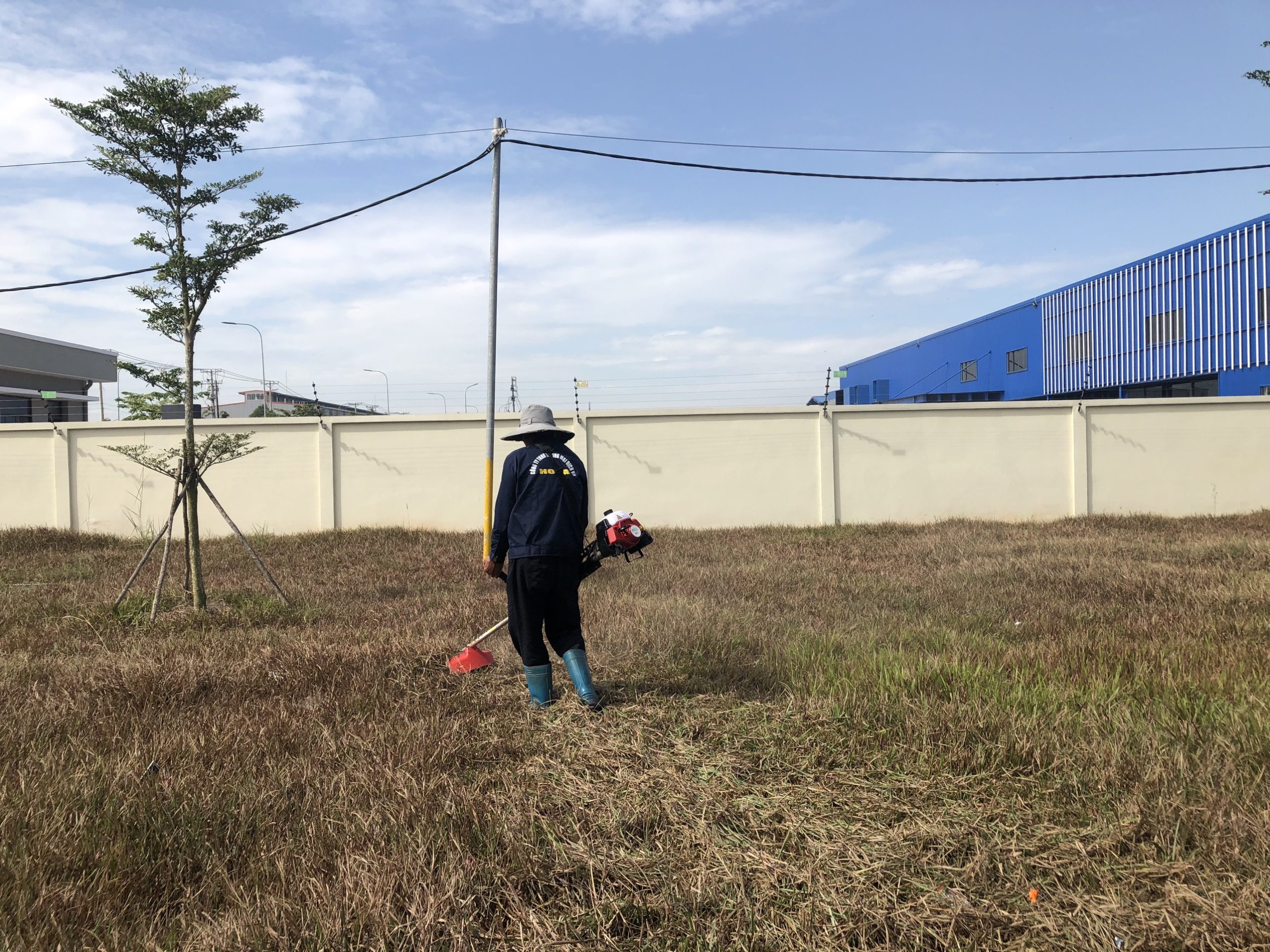 Chất lượng cắt cỏ chuyên nghiệp