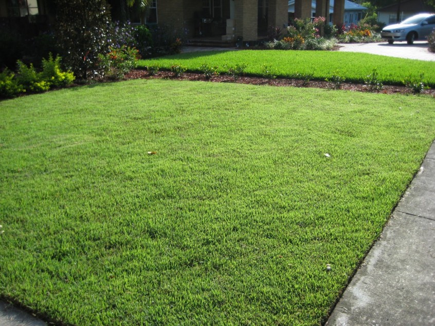 Những đặc điểm vượt trội tại Lộc Nguyên