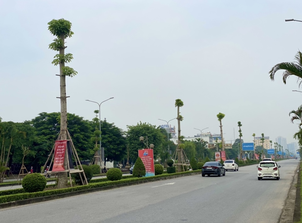 Dịch vụ chất lượng tận tâm