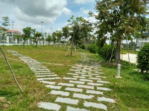 Dịch vụ trồng cây xanh ở Thạnh Hóa Long An giá tốt