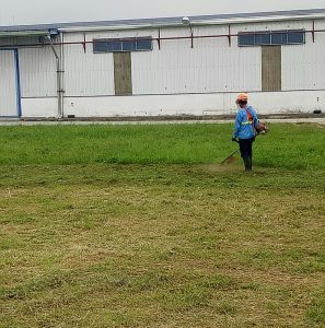 Công ty cắt cỏ tại KCN An Nhật Tân chuyên nghiệp uy tín