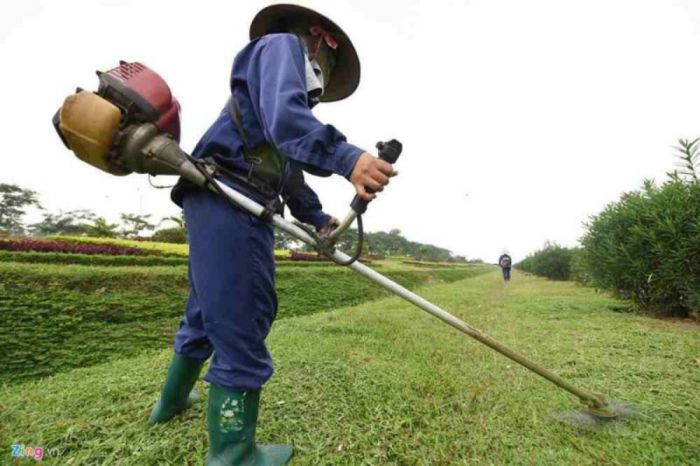 Tiện ích đem lại khi sử dụng dịch vụ cắt cỏ tại KCN An Nhật Tân của Lộc Nguyên