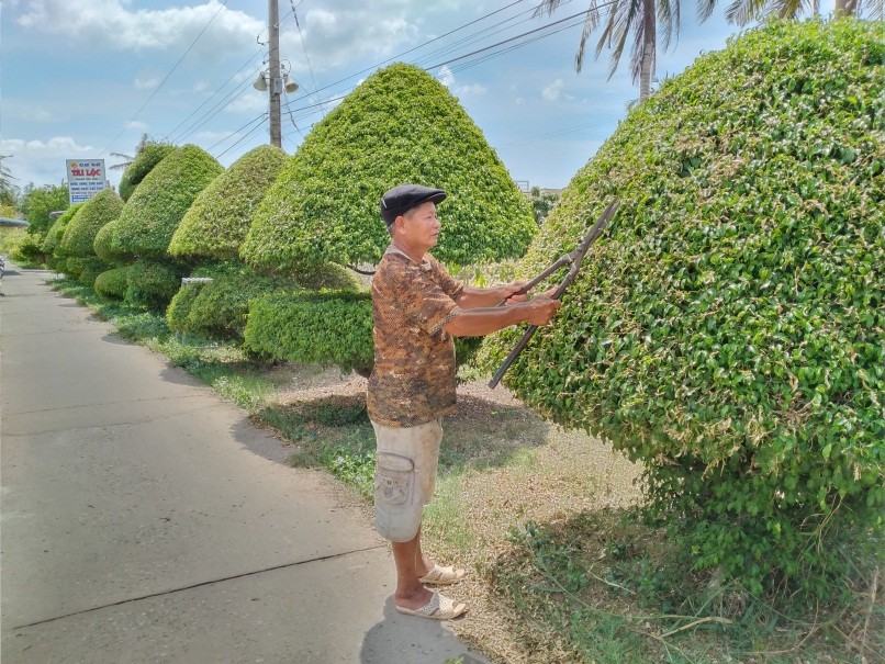 Công ty chuyên chăm sóc cây xanh tại KCN Đức Hòa