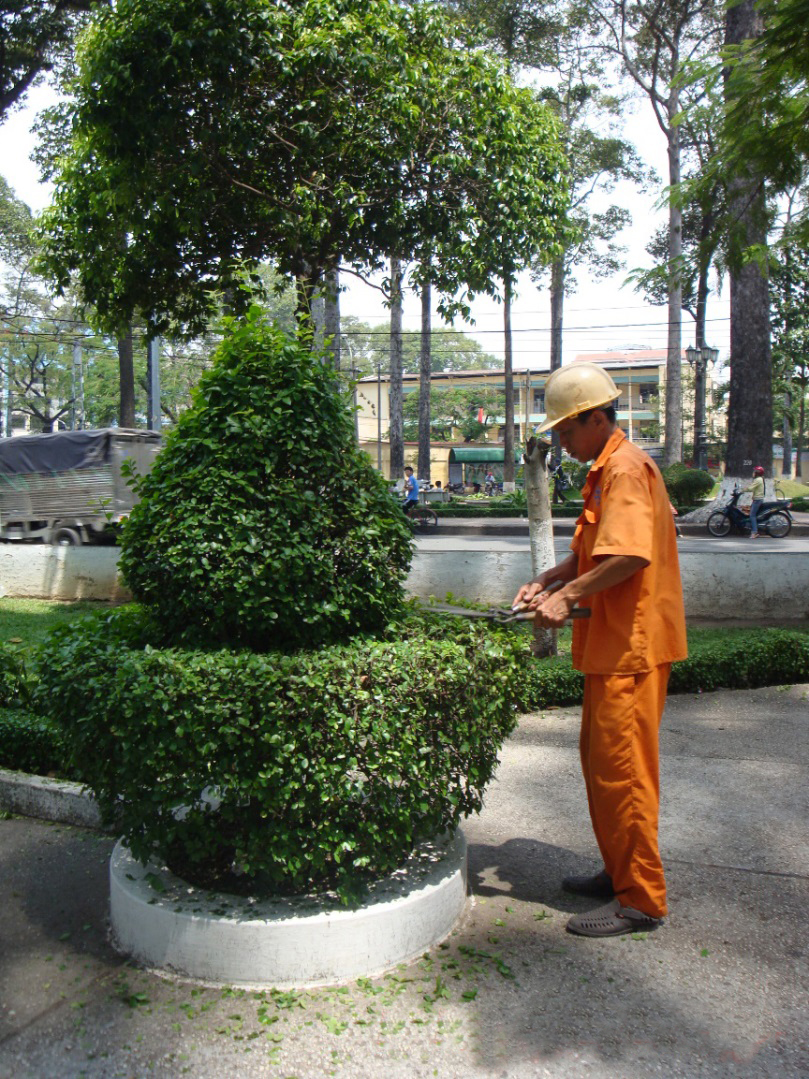 Dịch vụ chăm sóc cây xanh KCN Đức Hòa của Lộc Nguyên có nhiều đặc điểm nổi trội 