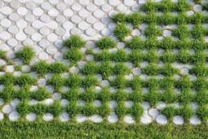 Công ty trồng cỏ uy tín cho KCN Đức Hòa Đông uy tín