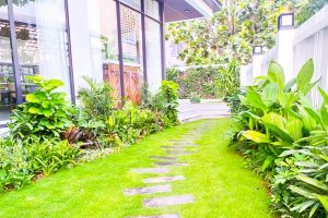 Đơn vị trồng cỏ uy tín cho KCN Tân Đức chuyên nghiệp