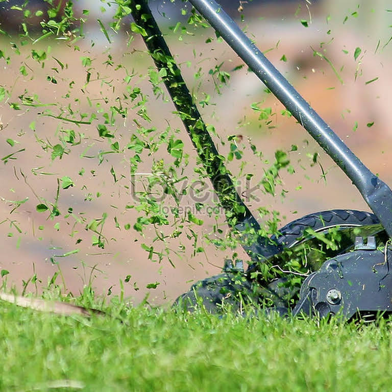 Quy trình cung cấp dịch vụ cắt cỏ tại KCN Tân Đức