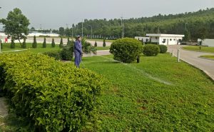 Địa chỉ chăm sóc cây xanh tại KCN Đức Hòa Đông uy tín