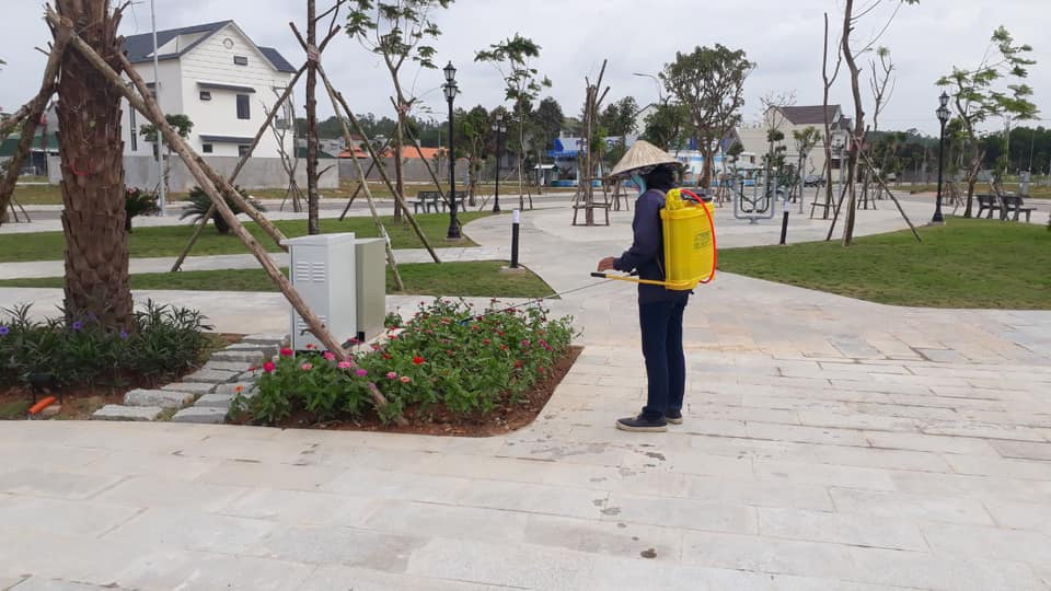 Tại sao nên sử dụng dịch vụ chăm sóc cây xanh KCN Tân Đức của Lộc Nguyên?