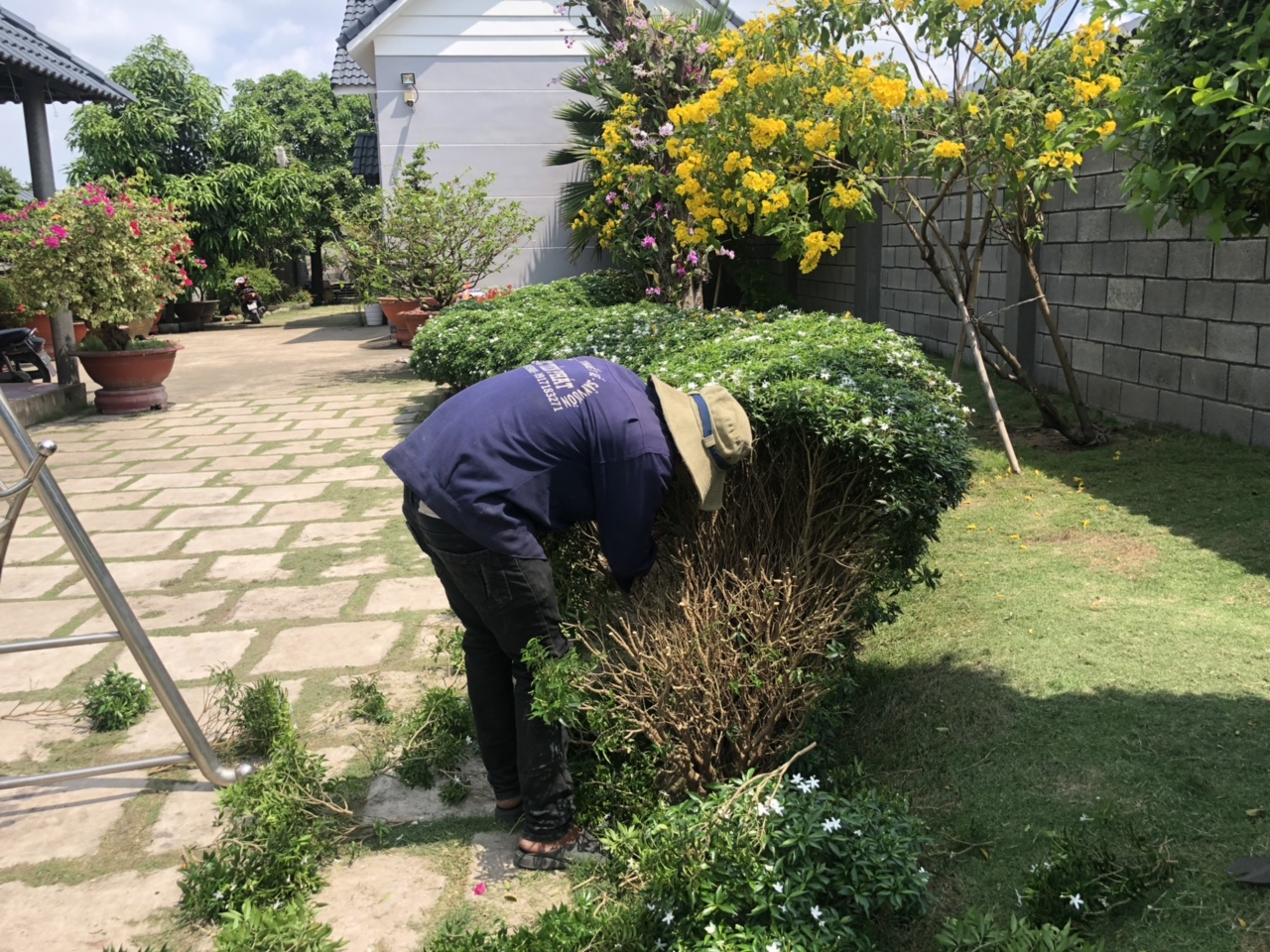 Vì sao Lộc Nguyên được chọn là đơn vị chăm sóc cây xanh tại KCN Đức Hòa Đông hàng đầu?