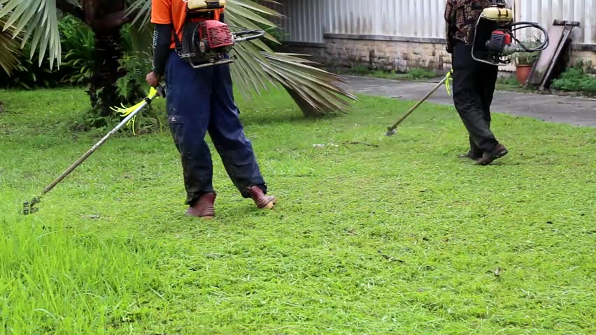 Quy trình cắt cỏ tại KCN Thái Hoà của Lộc Nguyên