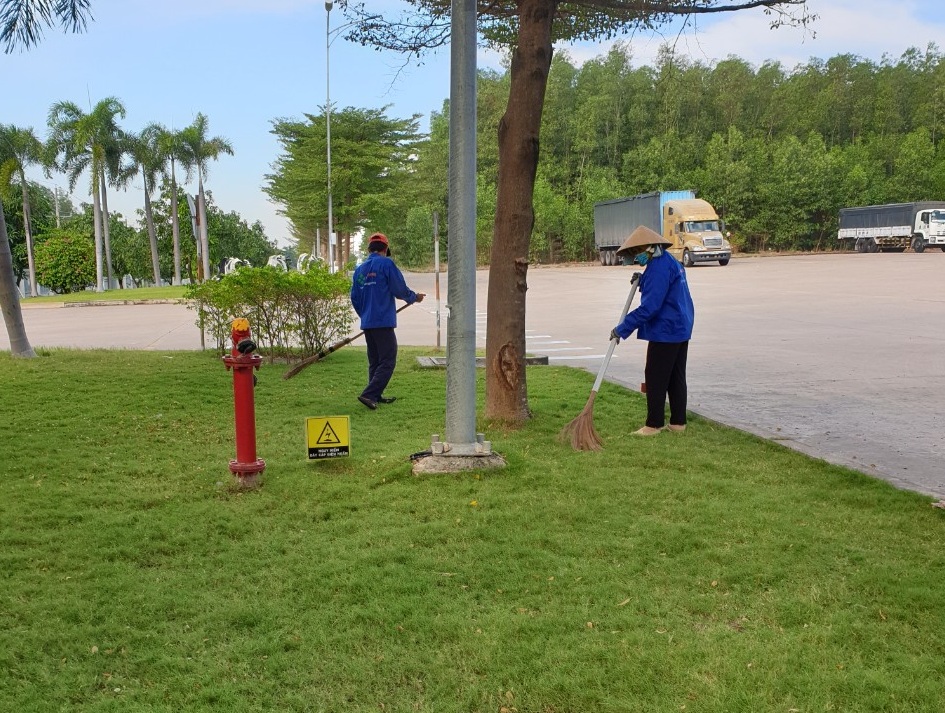 chăm sóc thảm cỏ KCN