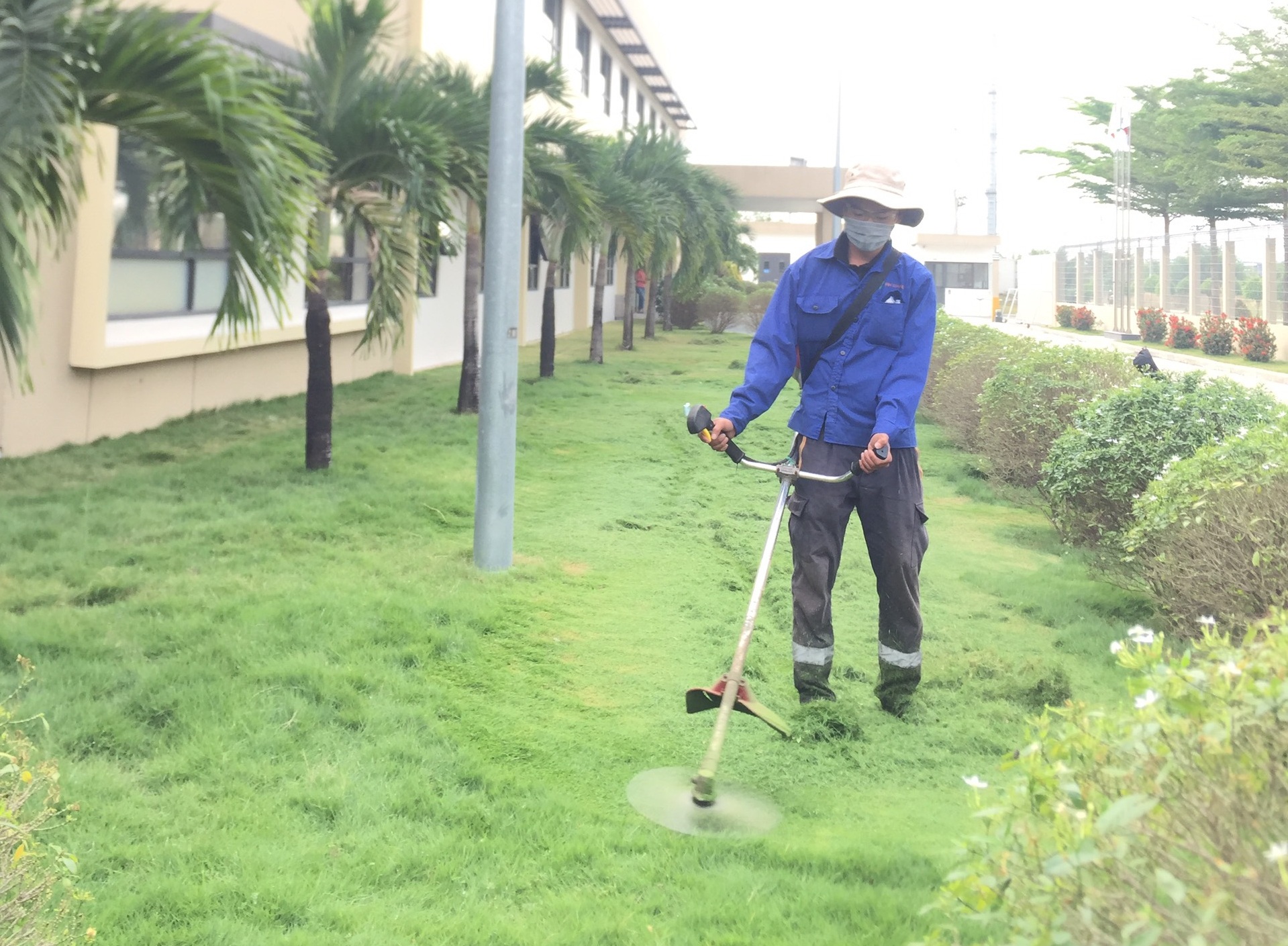 Dịch vụ chăm sóc thảm cỏ KCN
