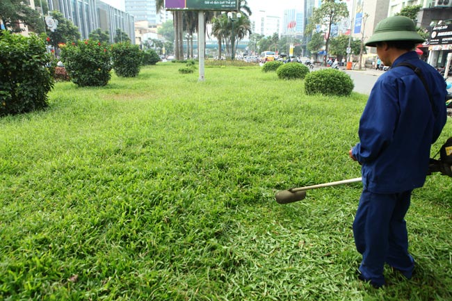 dịch vụ cắt cỏ tại KCN Xuyên Á
