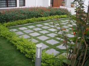 Đơn vị trồng cỏ ở KCN Thái Hòa chuyên nghiệp