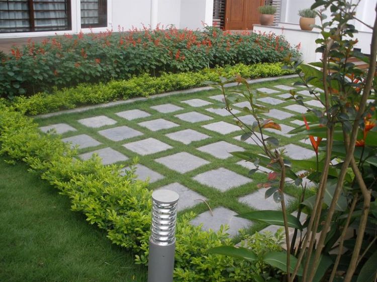 Đơn vị trồng cỏ ở KCN Thái Hòa chuyên nghiệp