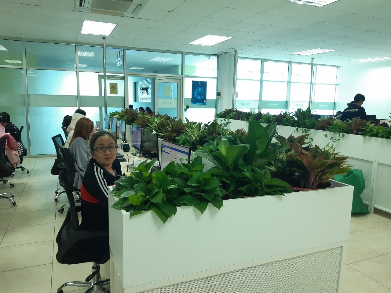 Dịch vụ cung cấp cây xanh tại Tân An