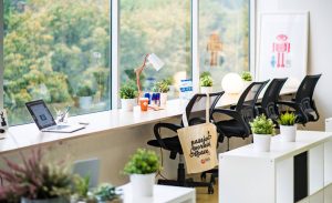 Cung cấp cây cảnh tại Tân Bình