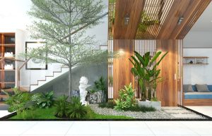 Cung cấp cây cảnh tại Quận 4 giá tốt