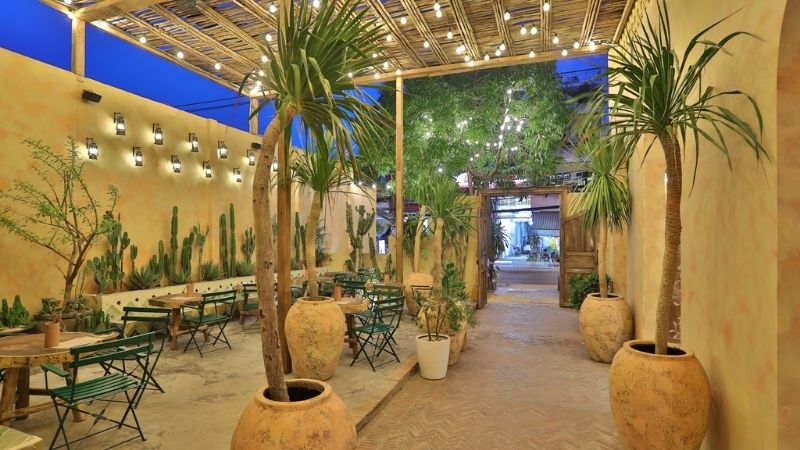 Dịch vụ chăm sóc cây cảnh tai Quận 10