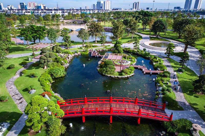 Cung cấp cây xanh tại Bình Thạnh