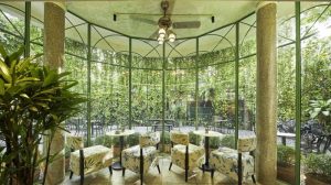 Dịch vụ chăm sóc cây xanh Quận 5