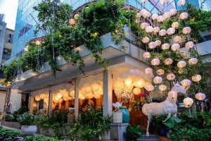 Chăm sóc sân vườn tại Quận 6 giá tốt