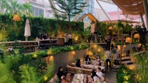 Chăm sóc sân vườn tại quận 12