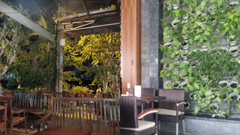 Dịch vụ cung cấp cây xanh tại Quận Bình Chánh