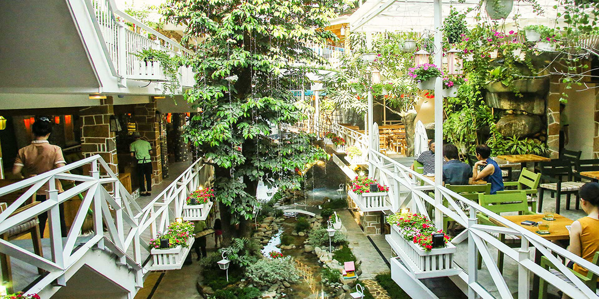 Dịch vụ cung cấp cây xanh tại Gò Vấp