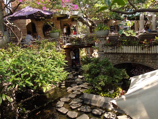 Dịch vụ cung cấp cây xanh tại Gò Vấp