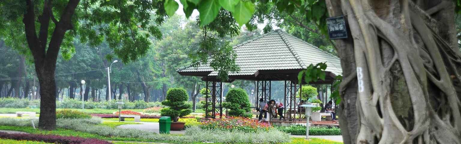 Dịch vụ cung cấp cây xanh tại Phú Nhuận