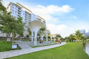 Dịch vụ cung cấp cây xanh tại Phú Nhuận