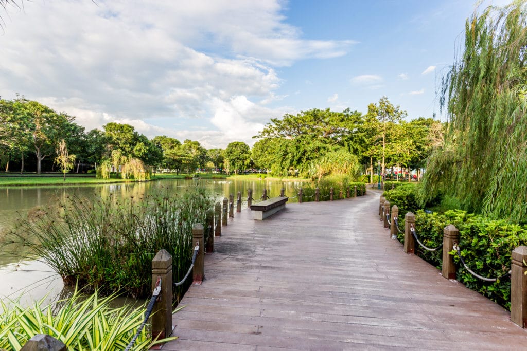 Cung cấp cây xanh tại Tân Phú