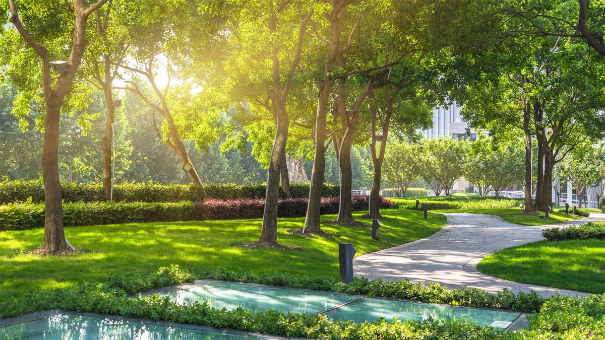 Đơn vị cung cấp cây cảnh tại Cần Giờ