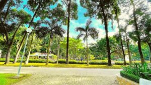 Dịch vụ dọn vườn tại quận Gò Vấp