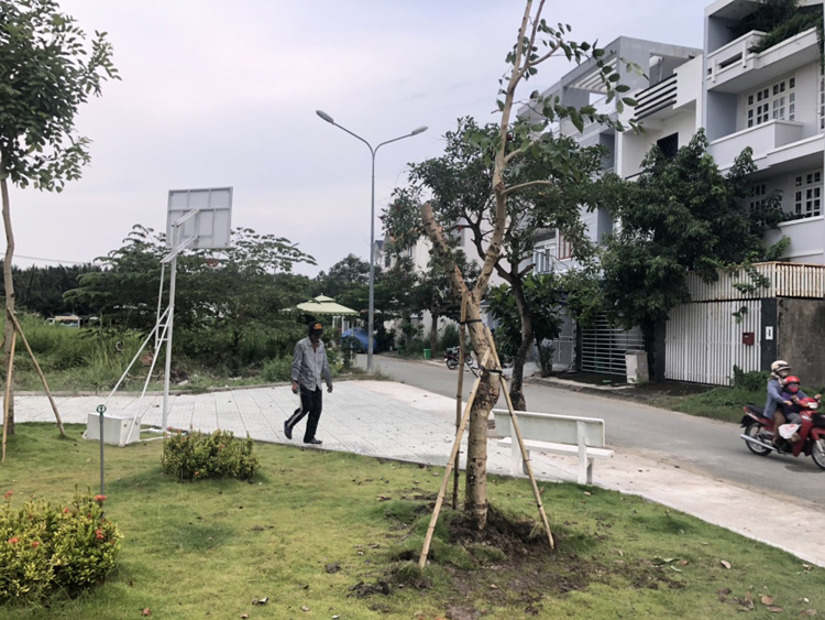 Dọn vườn tại Bình Chánh